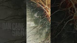 Dan Caine - Signals 2024 #ambient #postrock #instrumental #rock #shorts