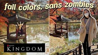 Fall Colors at KINGDOM Filming Location  Changdeok Palace  Life in Seoul Korea