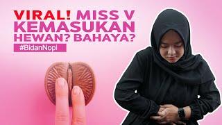 Viral Ada Hewan Di Miss V  Dampak Negatif Miss V Kemasukan Hewan