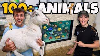 All of PAUL CUFFARO’S ANIMALS and PONDS IN ONE VIDEO