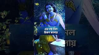 বাঁকা শ্যাম #bengalidevotionalsong #devotional #banglasong #bangla #aalo