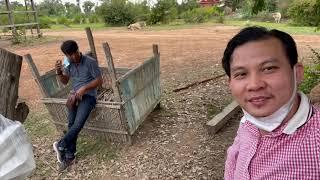 ចូលព្រៃ ភ្នំត្បែង លឺសម្លេង ចម្លែក