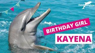 @DolphinAcademyCur CELEBRATES the 13th birthday of dolphin Kayena #25