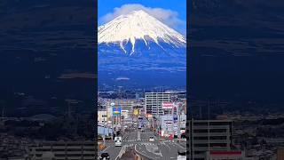 Japan holidays 2024 #shorts #holidays #tokyo #japan #2024