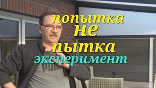 Как борются в Германии с улитками. Такой способ очень прост.