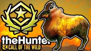 I *CANNOT* BELIEVE THIS FABLED GOLD *GREAT ONE* TAHR ON SUNDARPATAN IN THE HUNTER CALL OF THE WILD