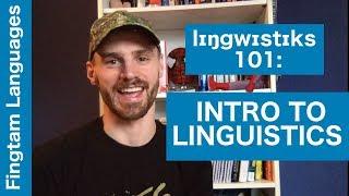 Linguistics 101 The scientific study of language video 1