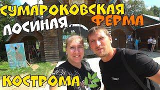 ГЕЛЕНДЖИК LIFE. СУМАРОКОВСКАЯ ЛОСИНАЯ ФЕРМА. КОСТРОМА