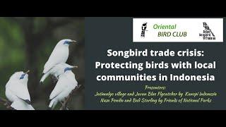 Songbird trade crisis Protecting birds in Indonesia  OBC Webinar Series  July 2022