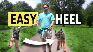 The EASY Way to Teach a Heel Command