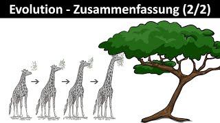 Evolution Einführung  Zusammenfassung 22 - Biologie Oberstufe Abitur