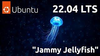 VMware OS Installations Ubuntu 22.04 LTS Jammy Jellyfish