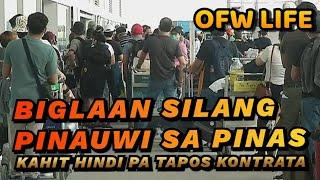 Mga OFW na nandito sa NZ napauwi ng di oras.