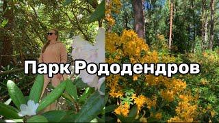 Прогулки по Хельсинки. Парк Рододендров. Жизнь в Финляндии.