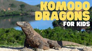 Komodo Dragons for Kids  Learn all about these apex predators