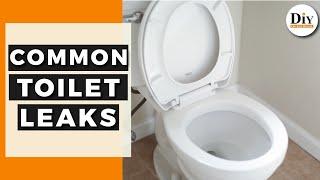 How To Find My Toilet Leak  Common Toilet Leaks  DIY Toilet Repair