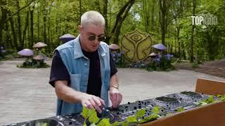 The Tomorrowland Top 1000 l Grand Finale mixed by James Hype