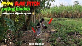 vidio lucu PRANK ULAR Paling Biadab  Super Lucu Bikin Ngakak auto Pingsan  Funny snake prank