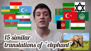 15 similar translations of word elephant in World languages  15 ترجمات مماثلة لكلمة الفيل