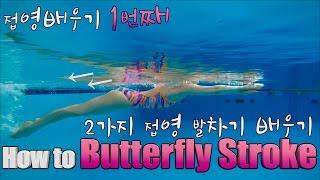 이현진 수영  how to butterfly stroke  접영발차기 접영 연결동작