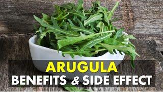 Arugula Benefits and Side Effect Is Arugula Good For You