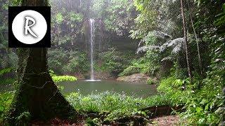 10 Hrs Rainforest & Rain for Relaxing Nature Sounds for Sleep Meditation Insomnia SPA Study
