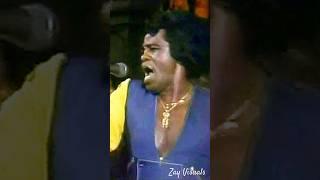 James Brown - Nature  Live in Toronto 1979’ Short Clip