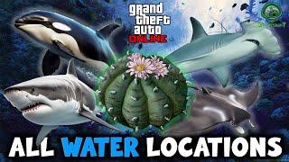 GTA Online - All Under Water Peyote Plant Locations