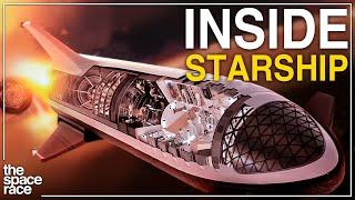 What Life Inside The SpaceX Starship Will Be Like