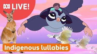  Indigenous LULLABIES Live Loop for Bedtime   ️ 