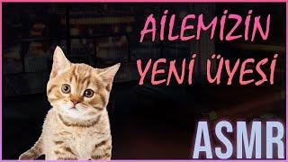 AİLEMİZİN YENİ ÜYESİ  Sevgili ASMR  Erkek Arkadaş Roleplay