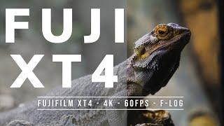 How Good Is Fujifilm XT4 for VIDEO? FREE sample footage