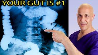 Fix Your GUT Health...#1 Reason to Mental & Physical Problems  Dr. Mandell