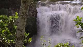 10 hours of relaxing waterfall sounds in the forest — Relaxing nature sounds for deep sleep