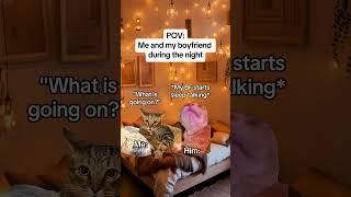 CAT MEMES Me and my boyfriend druing the night #catmemes #relatable #relationship #shorts