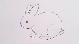 how to draw rabbit drawing easy step by step@aaravdrawingcreative1112