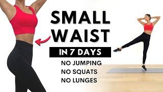 SMALL WAIST in 7 Days  15 MIN Non-stop Standing Workout - No Squat No Lunge No Jumping