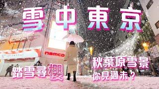 大雪中的秋葉原 雪中東京Vlog 2024️一年只有少於5天? 為了踏雪尋櫻我決定要⋯ 雪中櫻-東京站-秋葉原-新宿 #東京 #日本自由行 #日本文化