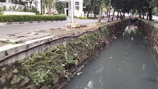 Mancing Ikan Lele Di Got kota Jakarta