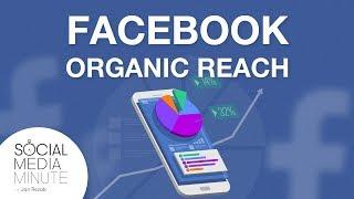 Organic reach on Facebook - is it really over?
