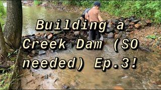 Building a Creek Dam $0 Needed Ep.3