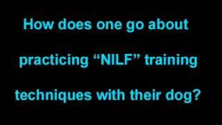 Nothing In Life is Free NILF Training