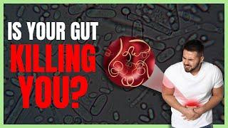 5 Steps to Heal Your Gut - Fix Gut Bacteria & Improve Digestive Health