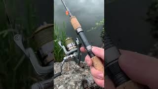 I Found the BEST Beginner Trout Fishing Setup #shorts #fishing #troutfishing #trout #fish