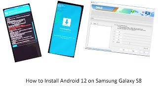 How to Install Android 12 on Samsung Galaxy S8