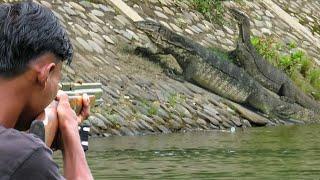 BERBURU BIAWAK TUA BESAR DI BENDUNGAN SUNGAI PERUMAHAN WARGA