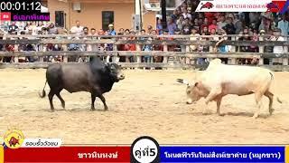 ขาวหินหงษ์vsโหนดฟ้าวันใหม่สิงห์เขาค่าย หมูกขาว