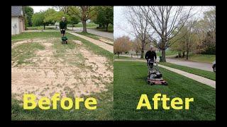 Step by Step Guide to OVERSEEDING Better looking lawn FAST