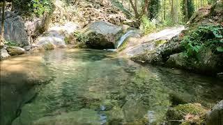 Bird sounds in the mountain stream. Nature forest sound of water meditation relaxing sleep music