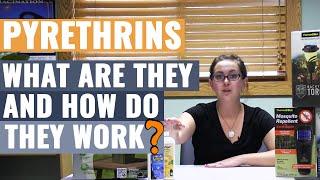 Pyrethrins - What are They and How do They Work?